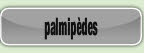 palmipèdes.