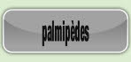 palmipèdes.