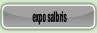  expo salbris.