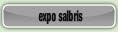  expo salbris.