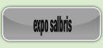  expo salbris.